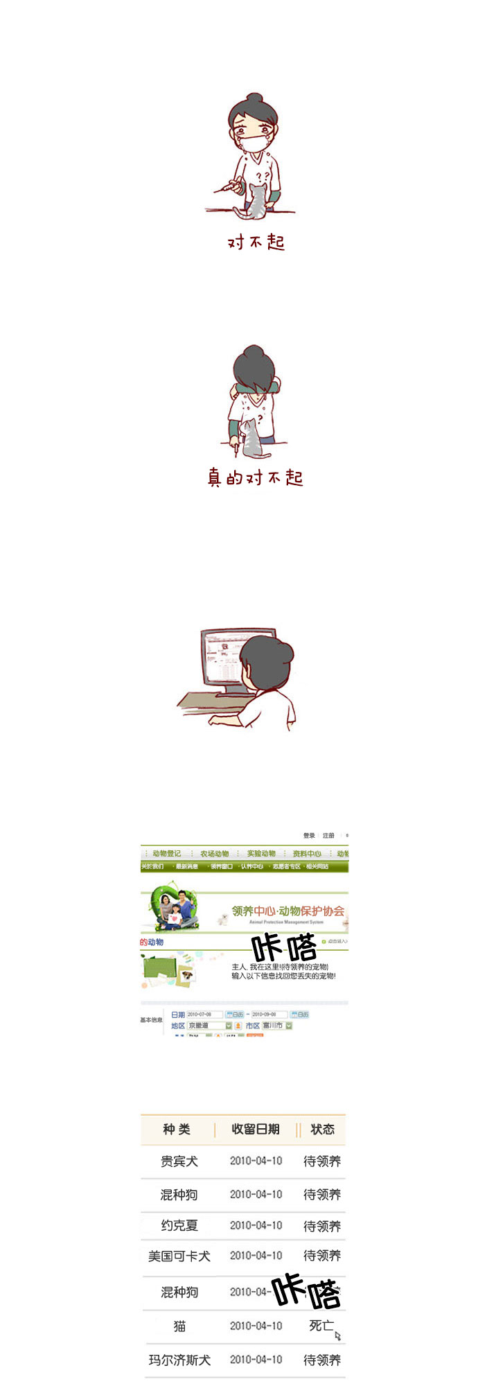 章节图片